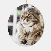 Ornement Rond En Céramique Belle conception sibérienne tigrée pelucheuse de (Gauche)