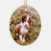 Ornement Rond En Céramique Berger australien miniature ! Mini chiot (Droite)