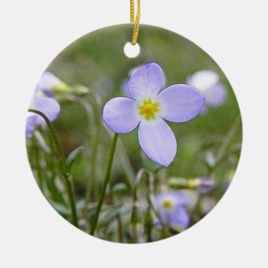 Ornement Rond En Céramique Bluets - dames de quaker (Devant)