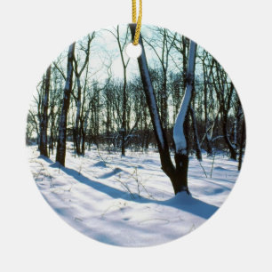 Ornement Rond En Céramique Bois d'hiver