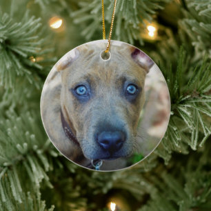 Ornement Rond En Céramique Brindle Pit Bull Puppy par Shirley Taylor