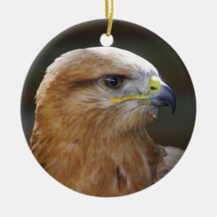 Ornement Rond En Céramique Buzzard à pattes longues
