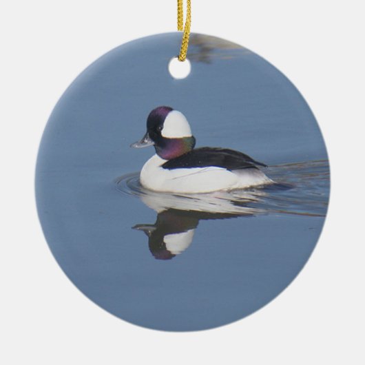 Ornement Rond En Céramique Canard Drake de Bufflehead (Devant)