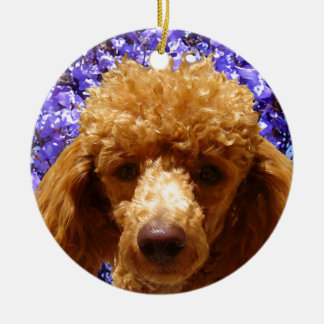 Ornement Rond En Céramique Caniche mignon