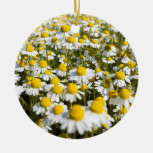 Ornement Rond En Céramique Champ chamomile, Hongrie
