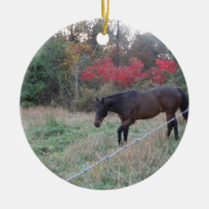 Ornement Rond En Céramique Cheval Brown dans les arbres d'automne rouges