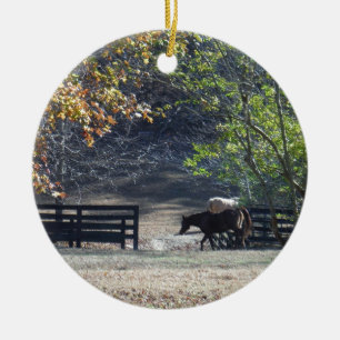 Ornement Rond En Céramique Cheval Brun traversant une clôture