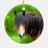 ORNEMENT ROND EN CÉRAMIQUE CHEVAUX (Dos)