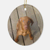 Ornement Rond En Céramique chiot de vizsla (Gauche)