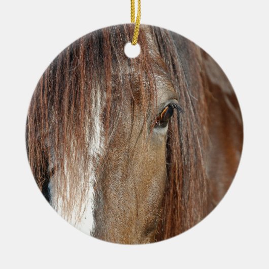 Ornement Rond En Céramique cisailler (Devant)