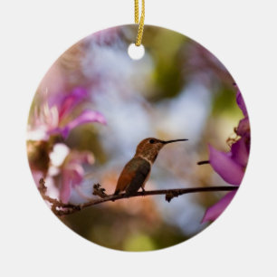 Ornement Rond En Céramique Colibri