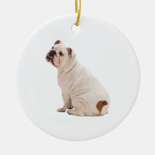 Ornement Rond En Céramique Cute dog white bulldog