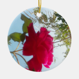 Ornement Rond En Céramique Cute Retro Hakuna Matata Cadeau Bleu Rouge Vert SK