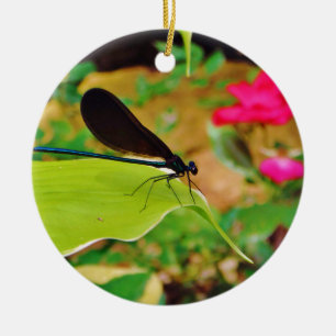 Ornement Rond En Céramique Damselfly et Rose