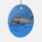 Ornement Rond En Céramique Dauphin à bec (Droite)