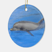 Ornement Rond En Céramique Dauphin à bec (Gauche)