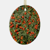 Ornement Rond En Céramique Écoulement rouge de Pseudocapsicum de solanum (Droite)