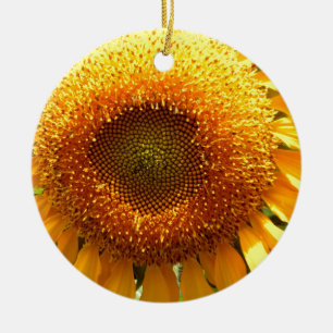 Ornement Rond En Céramique Elégante photo de tournesol