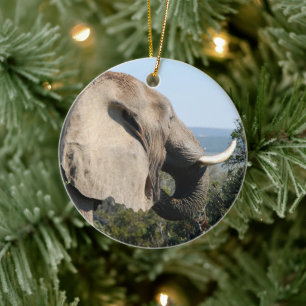 Ornement Rond En Céramique Éléphant sauvage mangeant, Afrique du Sud