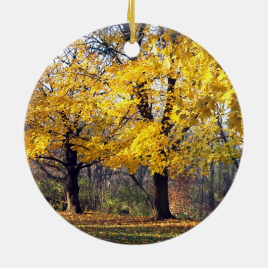 Ornement Rond En Céramique Érables de Norvège (Dos)