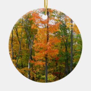 Ornement Rond En Céramique Érables en automne Photographie de la nature