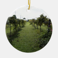 Établissement vinicole