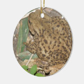 Ornement Rond En Céramique European Common Toad Custom Anniversaire (Gauche)