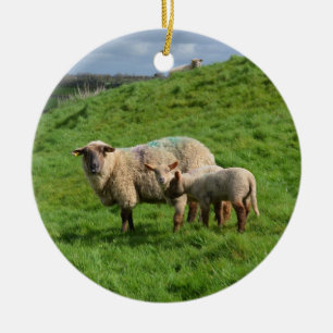 Ornement Rond En Céramique Famille de moutons