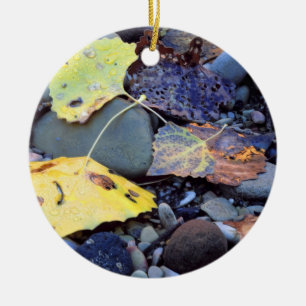 Ornement Rond En Céramique Feuilles de bois de chalet de Fremont sur la plain