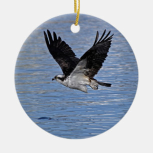 Ornement Rond En Céramique Flying Fish Eagle Osprey Nature Photographie
