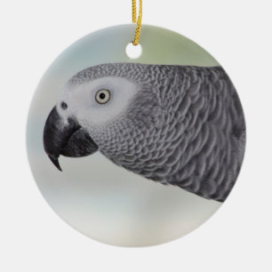 Ornement Rond En Céramique Gorgeous African Grey Parrot