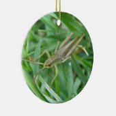 Ornement Rond En Céramique Grasshopper Personnalisé Anniversaire (Droite)