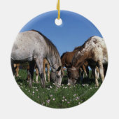 Ornement Rond En Céramique Groupe de pâturage de chevaux d'Appaloosa (Dos)