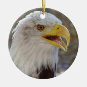 Ornement Rond En Céramique Haliaeetus leucocephalus