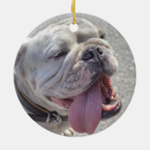 Ornement Rond En Céramique Happy White Bulldog