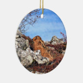 ORNEMENT ROND EN CÉRAMIQUE HARE (Droite)