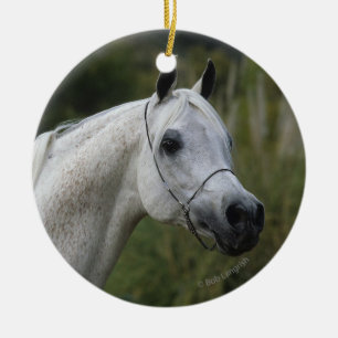 Ornement Rond En Céramique Headshot arabe 1 de cheval