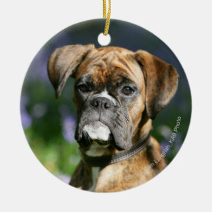 Ornement Rond En Céramique Headshot de chien de boxeur