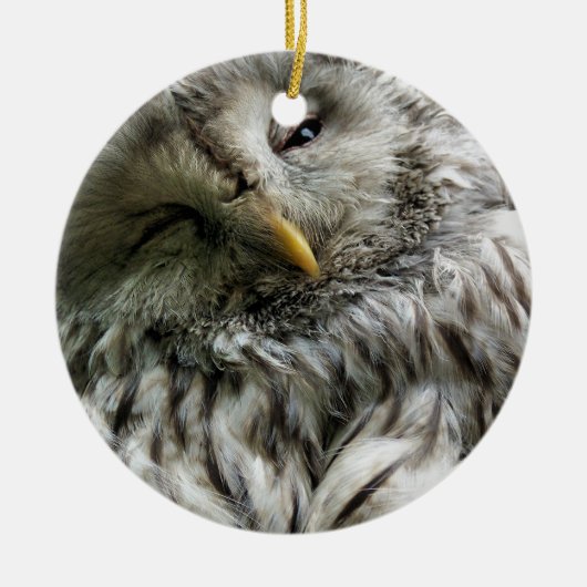 ORNEMENT ROND EN CÉRAMIQUE HIBOU (Devant)