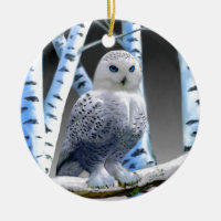 Hibou aux yeux bleus de neige
