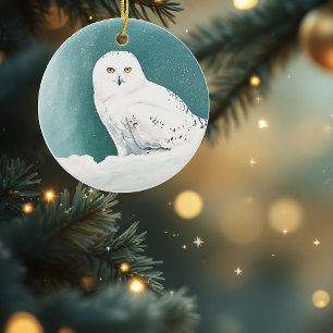 Ornement Rond En Céramique Hibou blanc ciel arctique hiver neige sarcelle