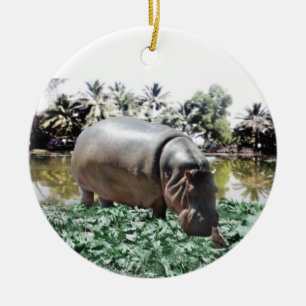 Ornement Rond En Céramique Hippo & Oiseaux
