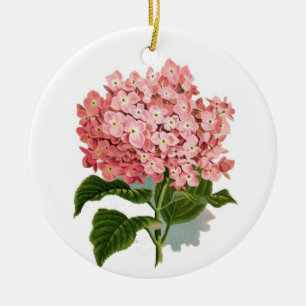 Ornement Rond En Céramique Illustration botanique d'hortensia rose vintage