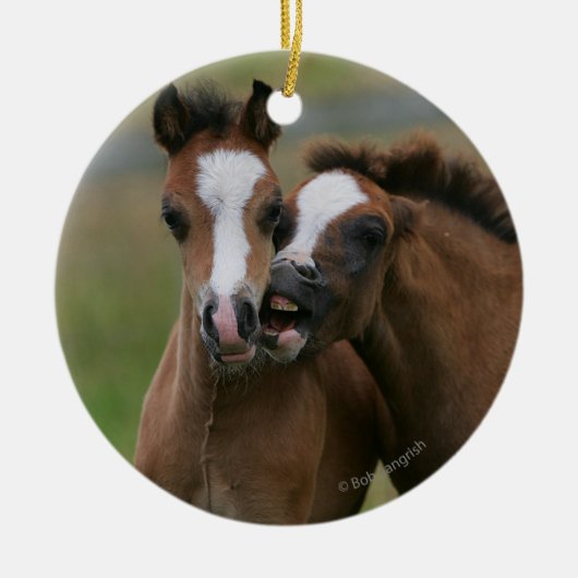 Ornement Rond En Céramique Jeu de poulains (Devant)