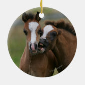 Ornement Rond En Céramique Jeu de poulains (Dos)