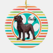 Ornement Rond En Céramique Laboratoire de chocolat; rayures arc-en-ciel lumin (Dos)