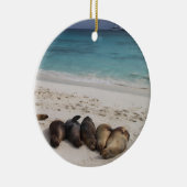 Ornement Rond En Céramique Lac Lion (Droite)