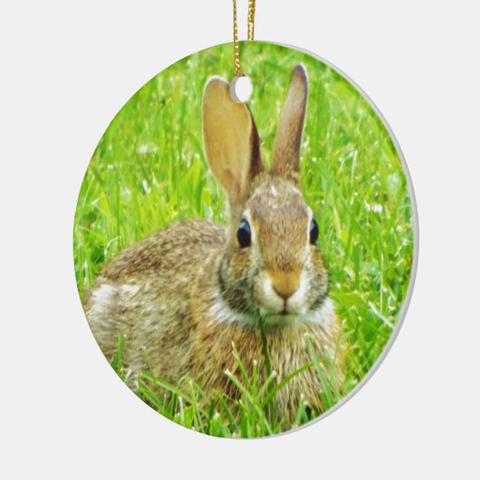 Ornement Rond En Céramique lapin (Gauche)