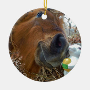 Ornement Rond En Céramique Lapin de Pâques et cheval Brown