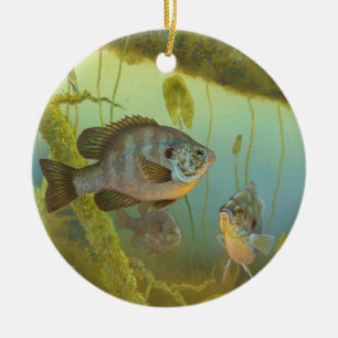 Ornement Rond En Céramique Lepomis Microlophus Timothy Knepp de Sunfish de